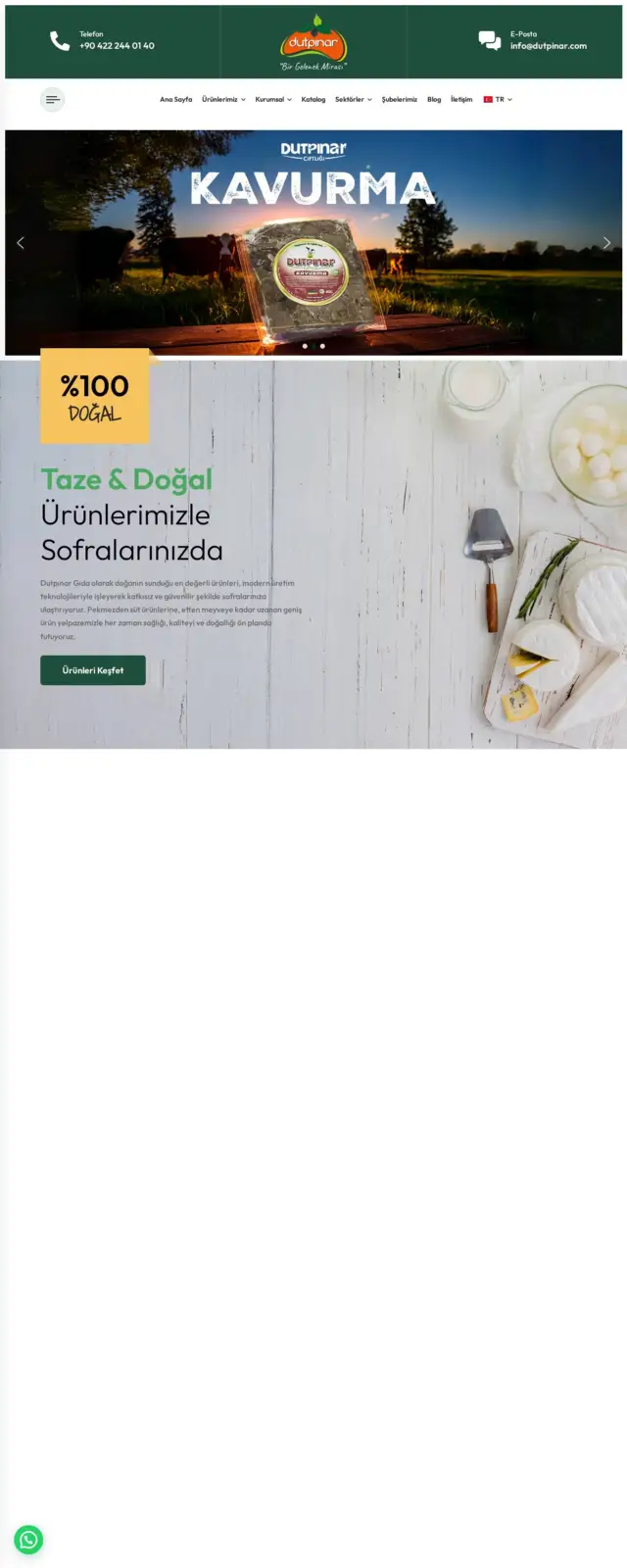 Dutpınar website screenshot